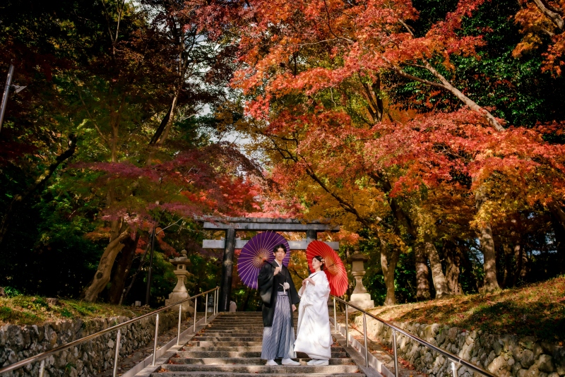 紅葉と番傘