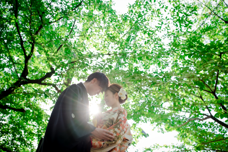 哲学の道～新緑～