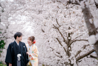 桜満開！ロケーション