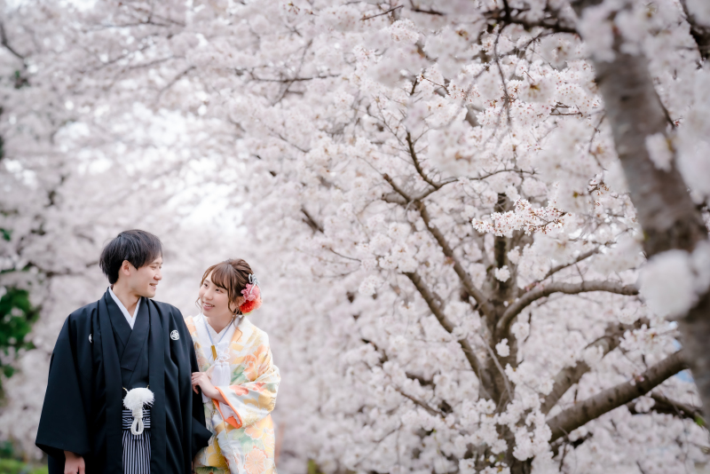 桜満開！ロケーション