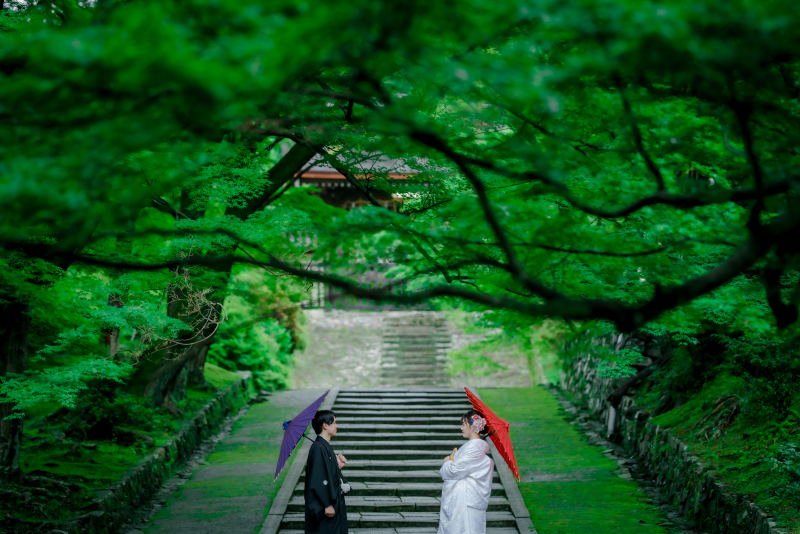 新緑に囲まれる寺院ロケーション撮影