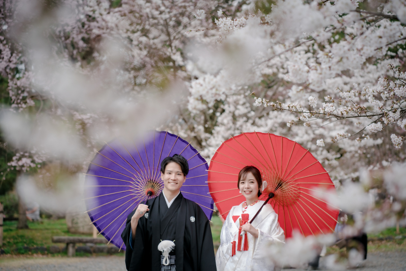 桜満載ショット