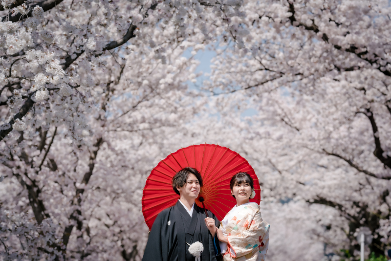 桜並木でしっとりと...