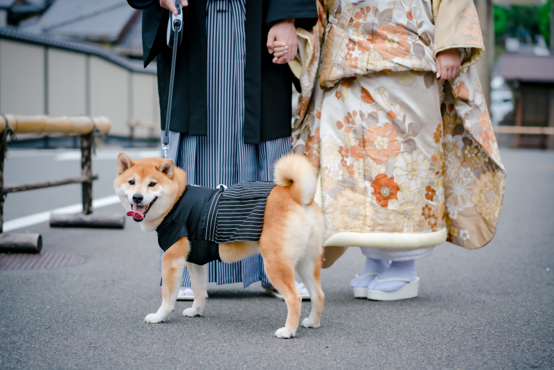 ワンちゃんも一緒に♡