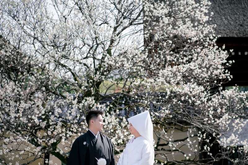 1か所目は梅宮大社