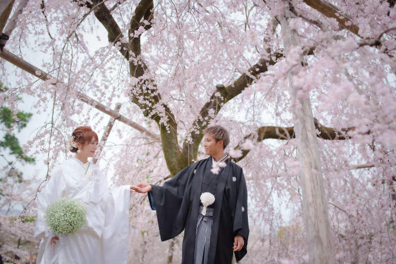 桜の花に囲まれて