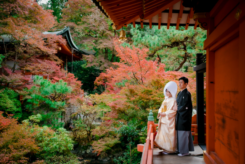 紅葉の景色
