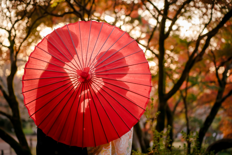 番傘を使ってシルエット？！