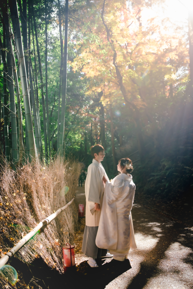 竹林と木漏れ日