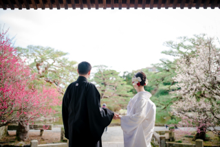 梅の花と庭園ロケーション