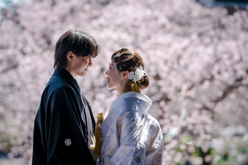 桜咲く寺院と京の街並み