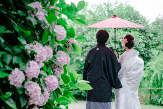 神社仏閣と紫陽花