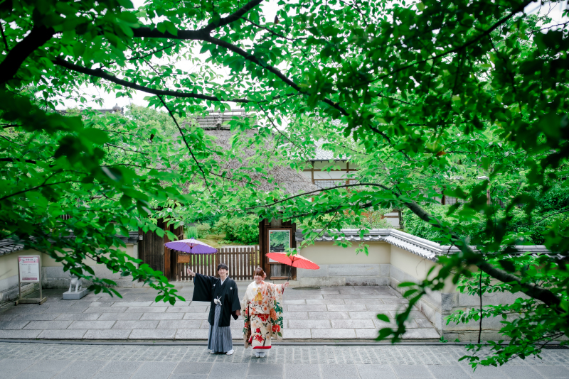 新緑が美しいスポット！