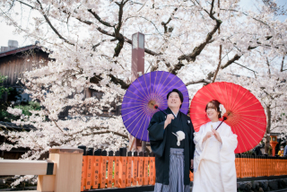 桜咲く✿京の都