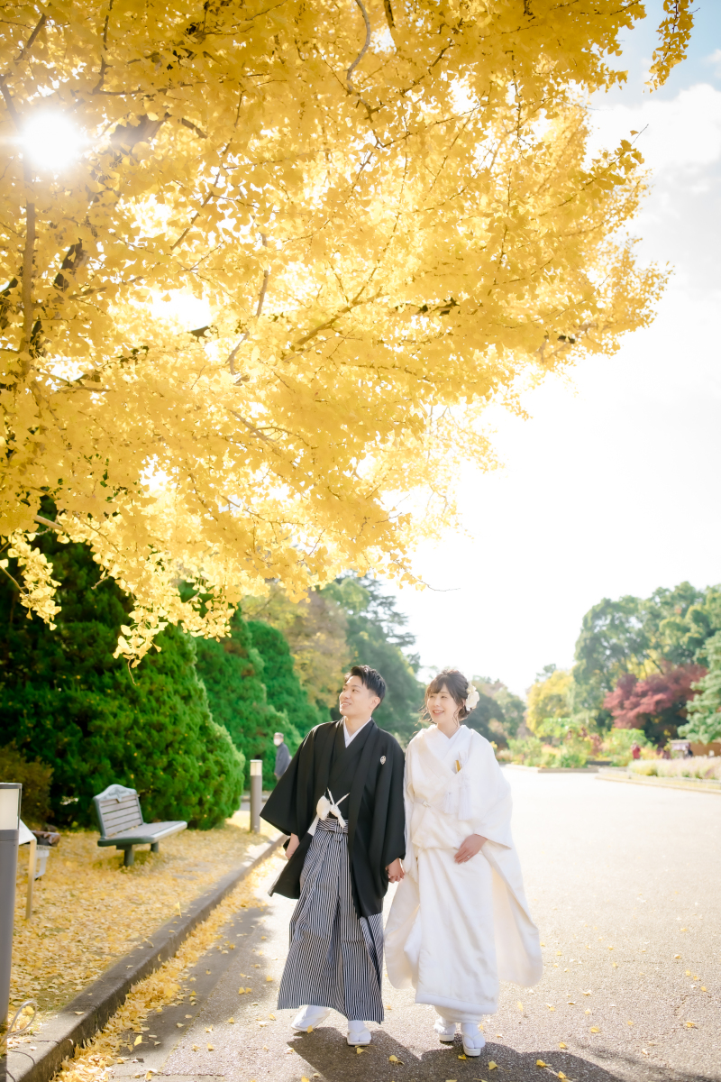 イチョウの下で