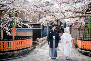 春爛漫　京都ロケーション