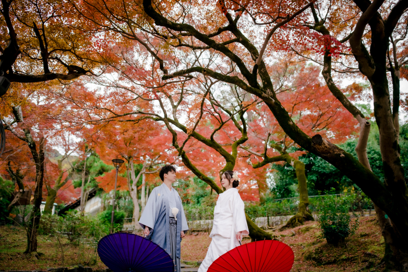 自然あふれる景色