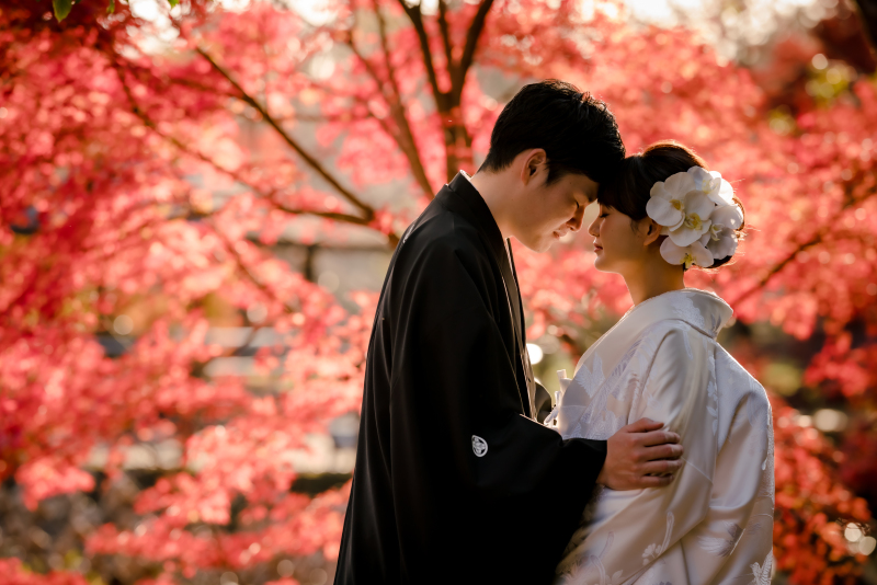 赤く染まった紅葉で...