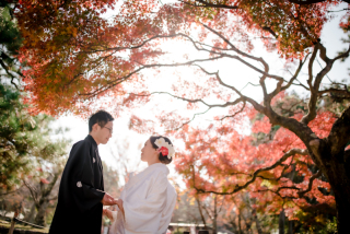 ロケーション2ヶ所～京都の街並みと紅葉～