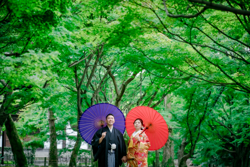 鮮やかな緑に囲まれて