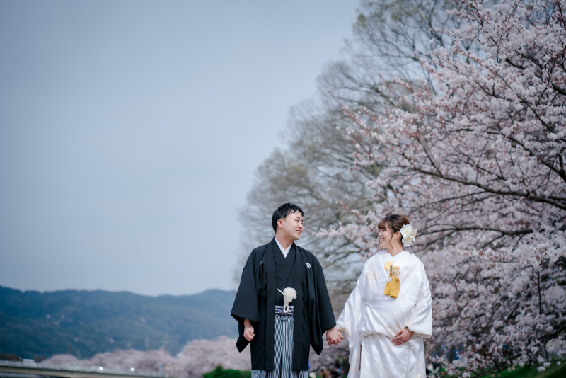 桜満開ロケーション