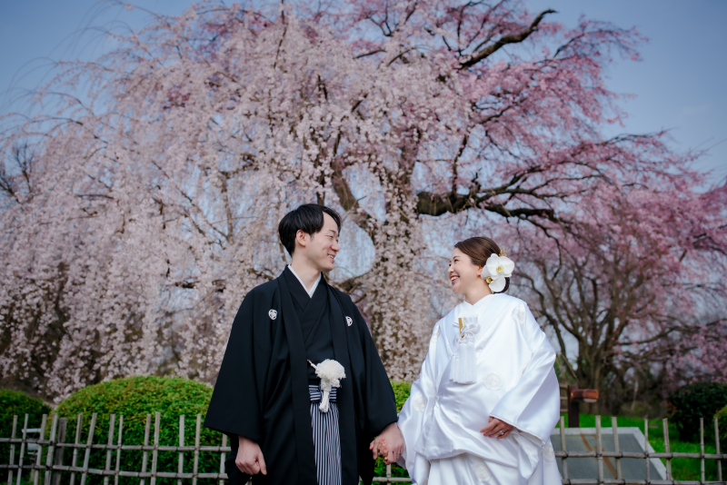 桜ロケーション2か所撮影