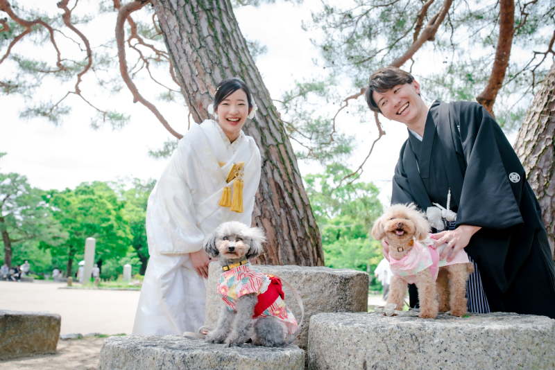 またまたワンちゃん登場！