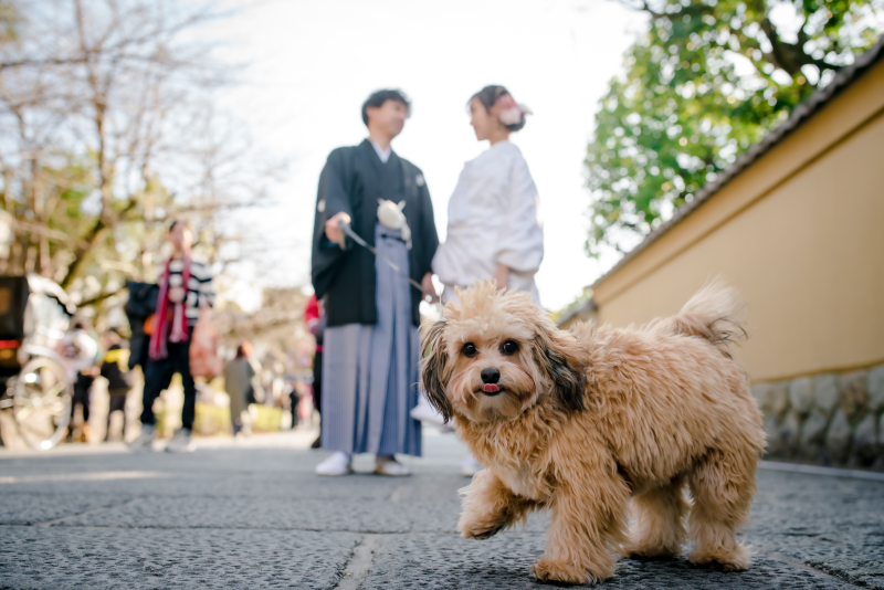 ワンちゃんメインで♡
