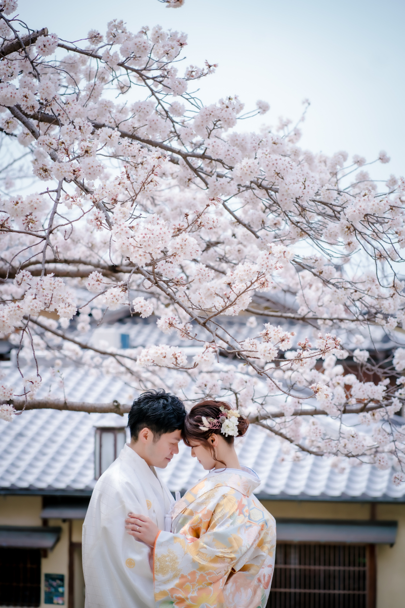 桜ショットも！