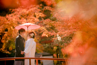 京都らしさと紅葉