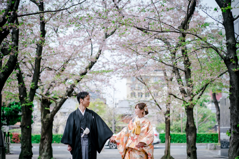 桜並木で美しく！