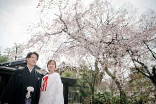 白無垢～桜ロケーション～