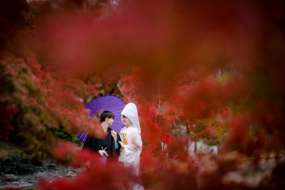 秋の京都～街並みと紅葉～