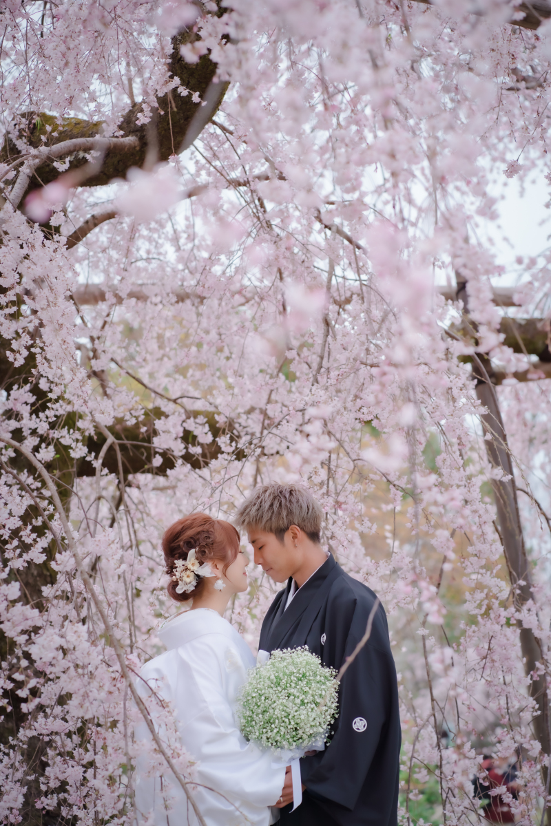 ロマンティックなワンショット