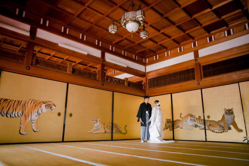 美しい引きの絵♪