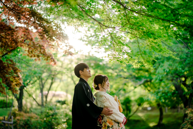 鮮やかな木々の葉