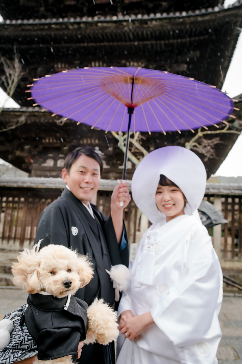 ワンちゃんも紋付袴！？