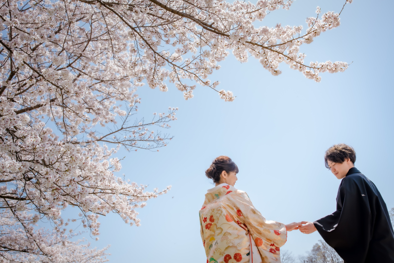 京都らしさ&times;桜のスポットで衣装2点ロケ撮影♪