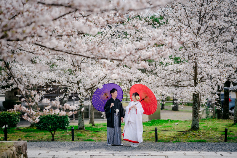 寺院と街並みと桜と