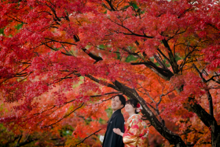 紅葉と神社仏閣