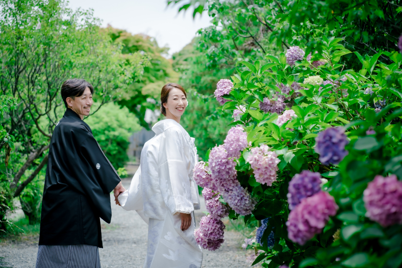 紫陽花に囲まれて