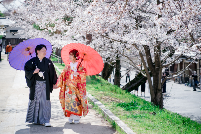桜が綺麗なスポット
