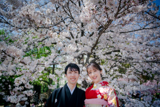 桜満開ロケーション