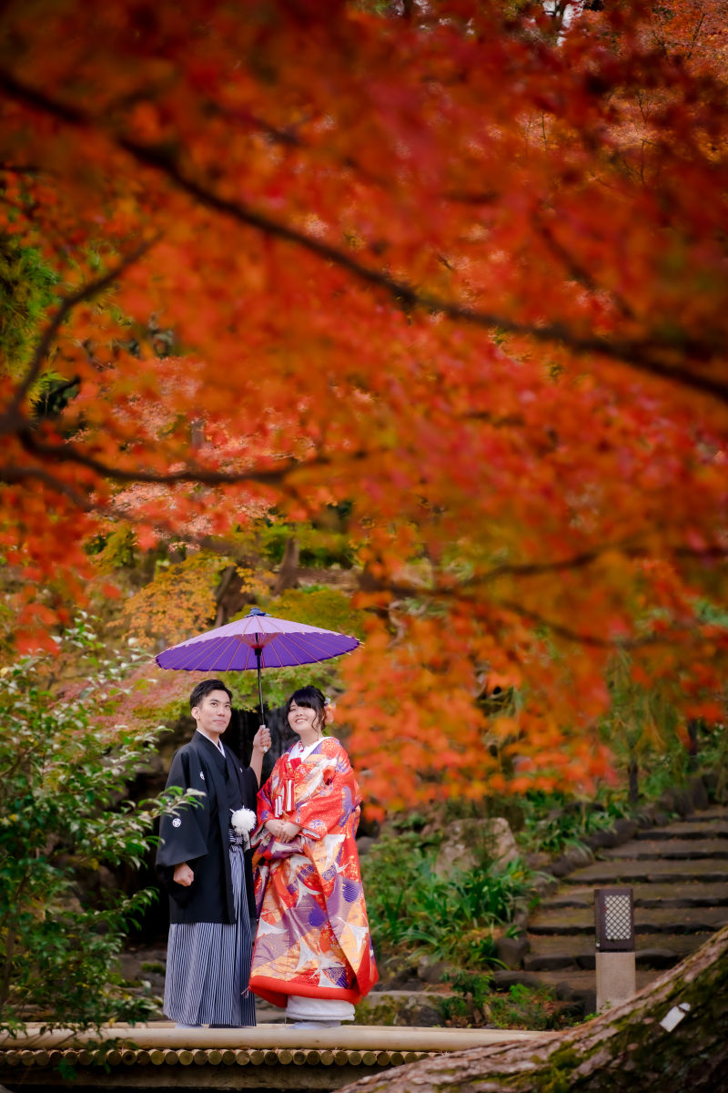 一面に広がるのは&hellip;