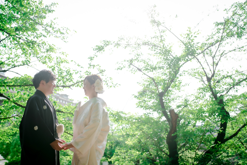 柔らかな日差し