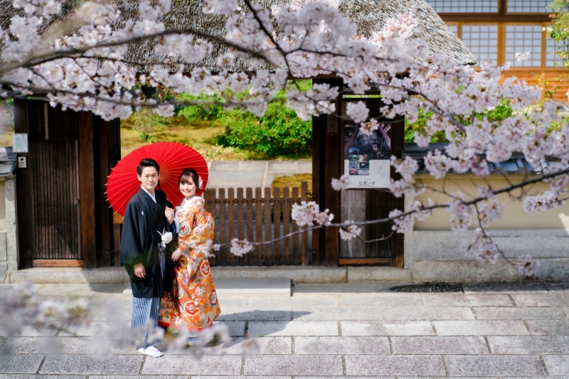 春到来！桜と京の街
