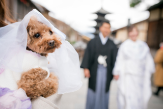 大切な家族の一員と♡