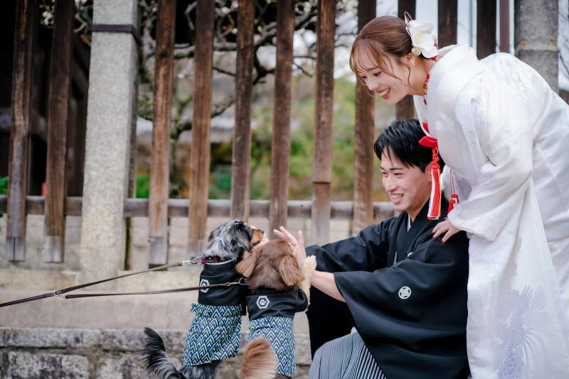 Arch Bridal_ペットと一緒に撮影できる