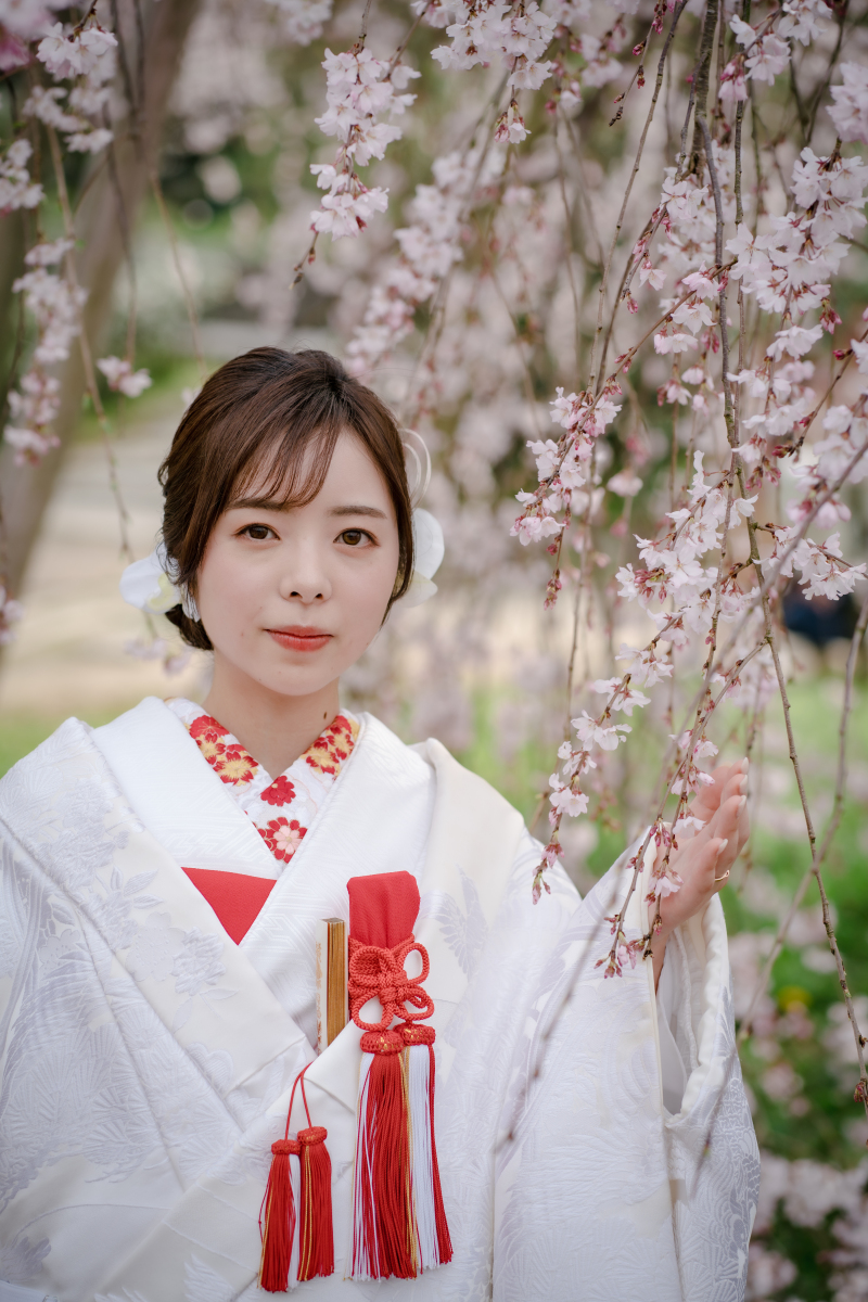 半襟や色小物なども！