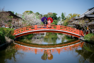 Arch Bridal_和装前撮り：桜編